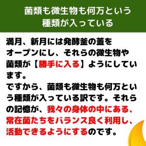 メビウスウォーター(旧ワン酵素、ワンコウソ O...の詳細画像2