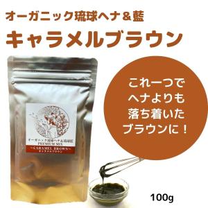 ダークブラウン オーガニック琉球ヘナ＆琉球藍 100g 国産ヘナ 沖縄産