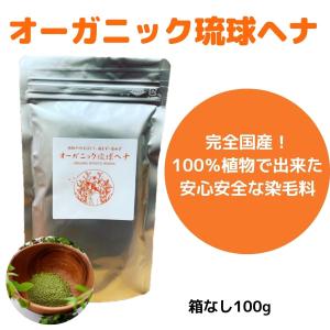 ダークブラウン オーガニック琉球ヘナ＆琉球藍 100g 国産ヘナ 沖縄産