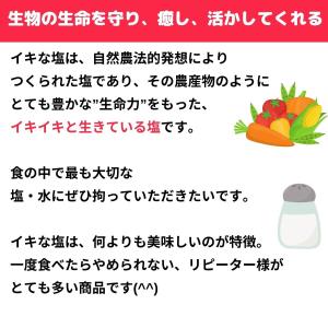 イキな塩 250g 天然エネルギー変性加工食品...の詳細画像1