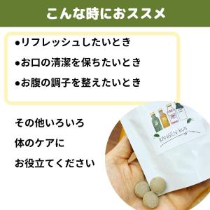 還元くんのお茶タブレット(1g×30粒)5個セットの詳細画像2