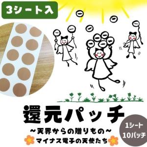 還元くん4 ありがとうボトル ミントグリーン 水素発生ボトル