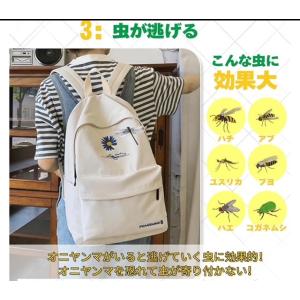 14cm〜20cm/オニヤンマ 人気のおにやん...の詳細画像4