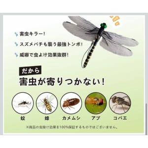 2匹セット※しましま14cm/オニヤンマ 人気...の詳細画像5
