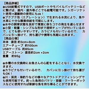 2025年 最新版 カラビナ付き エアーポンプ...の詳細画像1