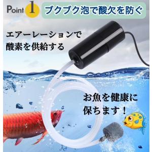 2025年 最新版 カラビナ付き エアーポンプ...の詳細画像4