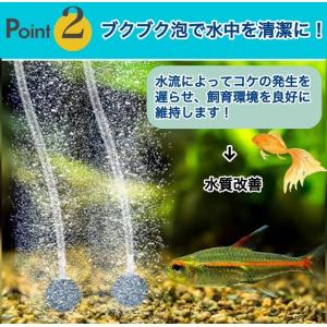 2025年 最新版 カラビナ付き エアーポンプ...の詳細画像5
