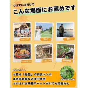 超リアル 12cmオニヤンマ虫除けくん効果おに...の詳細画像4
