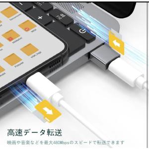 変換アダプター 変換コネクタ Type-C U...の詳細画像5