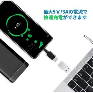 typec 変換 アダプタ 2.0 変換アダプ...の詳細画像2
