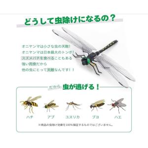 14cmオニヤンマ 虫除け 効果 14センチ ...の詳細画像2