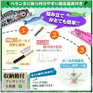 収納箱付 BIG 鯉のぼり Full Set【...の詳細画像3