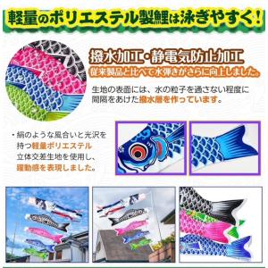 収納箱付 BIG 鯉のぼり Full Set【...の詳細画像2