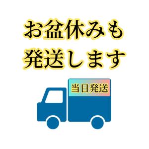 new version 3匹/12cmオニヤン...の詳細画像1