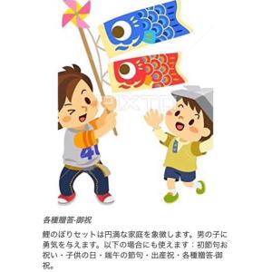 鯉約40cm【単品】【一匹のみ】【鯉のぼり追加...の詳細画像4