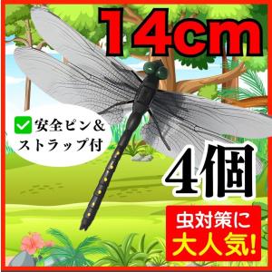 勝ち虫とんぼキーホルダー （ネコポス ゆうパケット便）可 : アート