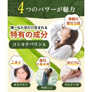 なた豆茶【今季最終】(在庫限りで終了) 赤なた...の詳細画像5