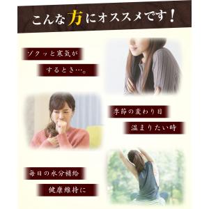 板藍根茶【ブランド累計60万袋】国産 ティーバ...の詳細画像4