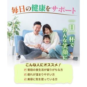 チャーガ茶【ブランド累計60万袋】国内製造 テ...の詳細画像3