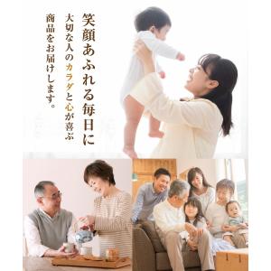 コーン茶 国産 ティーバッグ 40包 ノンカフ...の詳細画像2