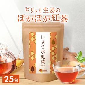 公式 温活農園 しょうが紅茶 2g×25包 ティーバッグ ショウガ紅茶 生姜紅茶 生姜茶 濃い味 ジンジャーティー お茶 紅茶 送料無料