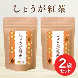 公式 温活農園 しょうが紅茶 2g×25包 おトクな2袋セット ティーバッグ ショウガ紅茶 生姜紅茶 生姜茶 濃い味 ジンジャーティー お茶 紅茶 送料無料｜ママセレクト