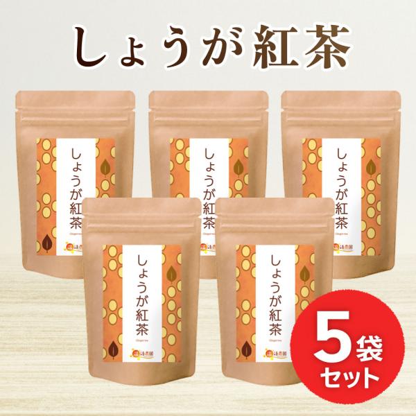 公式 温活農園 しょうが紅茶 2g×25包 おトクな5袋セット ティーバッグ ショウガ紅茶 生姜紅茶...