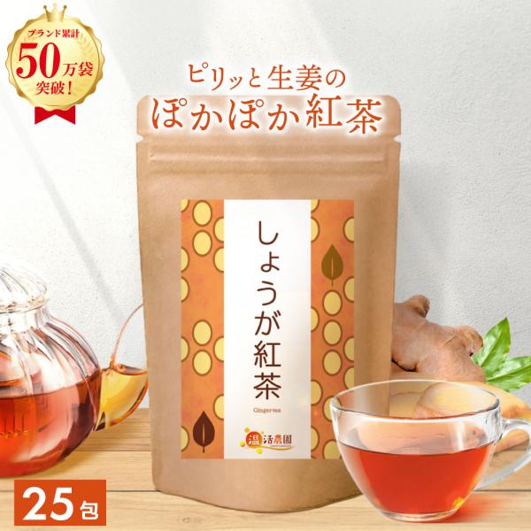 公式 温活農園 しょうが紅茶 2g×25包 ティーバッグ ショウガ紅茶 生姜紅茶 生姜茶 濃い味 ジ...