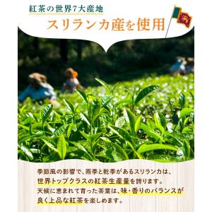 しょうが紅茶【ブランド累計60万袋】しょうが湯...の詳細画像3