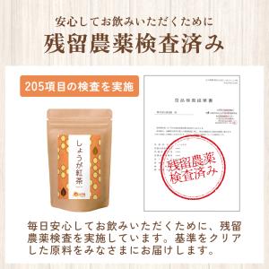 しょうが紅茶【ブランド累計60万袋】しょうが湯...の詳細画像5