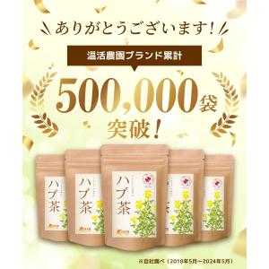 ハブ茶【ブランド累計60万袋】国内製造 ティー...の詳細画像1