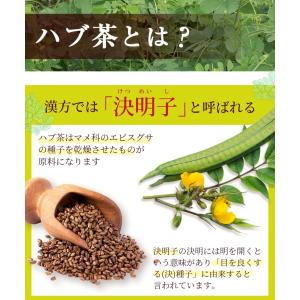 ハブ茶【ブランド累計60万袋】国内製造 ティー...の詳細画像3