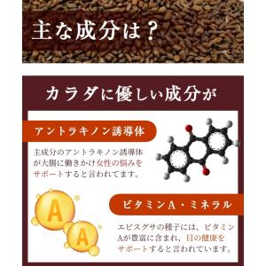 ハブ茶【ブランド累計60万袋】国内製造 ティー...の詳細画像4