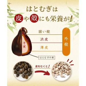 発芽はとむぎ茶 【ブランド累計60万袋】ハトム...の詳細画像5