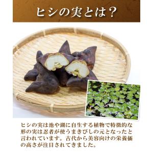 ヒシ茶 国内製造 ティーバッグ (2g×30包...の詳細画像3