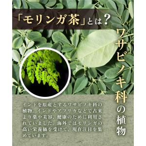 モリンガ茶 有機JAS【ブランド累計60万袋】...の詳細画像3