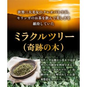モリンガ茶 有機JAS【ブランド累計60万袋】...の詳細画像4