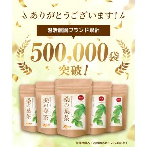 桑の葉茶【ブランド累計60万袋】国産 ティーバ...の詳細画像1
