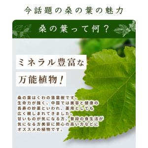 桑の葉茶【ブランド累計60万袋】国産 ティーバ...の詳細画像3