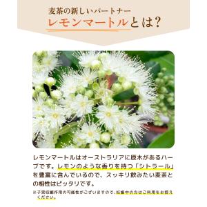 麦茶 レモンマートル麦茶 レモンマートル 国内...の詳細画像4