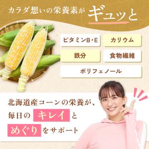 コーン茶 ティーバッグ 国産 とうもろこし茶 ...の詳細画像2