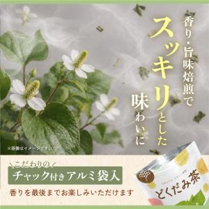 どくだみ茶 ドクダミ茶 国産 水出し 可 ティ...の詳細画像5