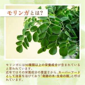 モリンガパウダー【ブランド累計60万袋】国産 ...の詳細画像3
