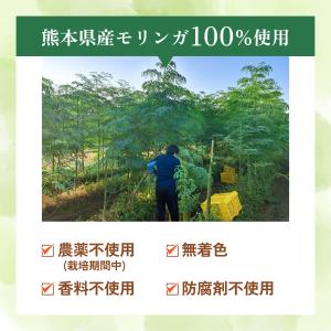 モリンガパウダー【ブランド累計60万袋】国産 ...の詳細画像5