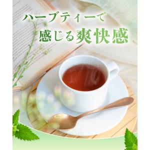 ネトルティー【ブランド累計60万袋】国内製造 ...の詳細画像2