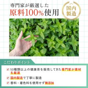 ペパーミントティー 有機 【ブランド累計60万...の詳細画像5