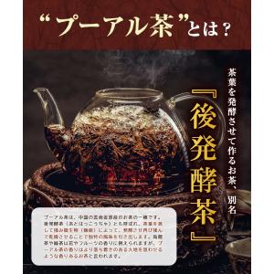 プーアル茶【ランキング1位獲得】プーアール茶 ...の詳細画像3
