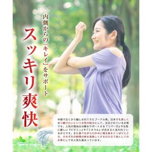 プーアル茶【ランキング1位獲得】プーアール茶 ...の詳細画像4