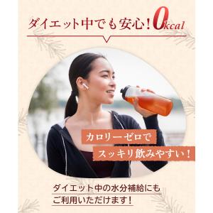 ルイボスティー 105包 大容量 (1包9.5...の詳細画像5