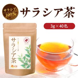 公式 温活農園 サラシア茶 3g×40包 ティーバッグ サラシア ノンカフェイン お茶 美容茶 健康茶 送料無料